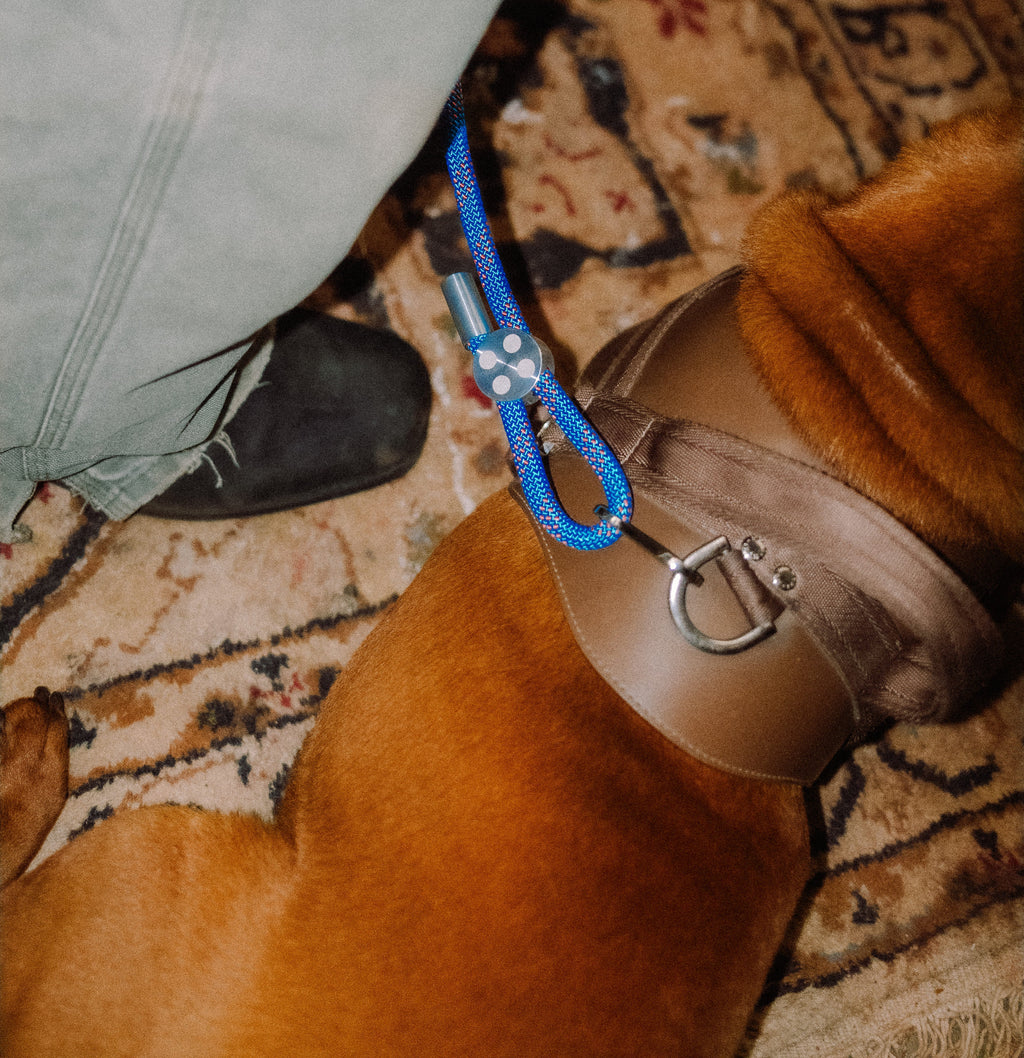 :begge: Dog Leash 003